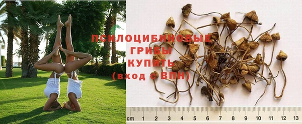 прущая мука Белокуриха
