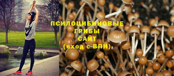 прущая мука Белокуриха