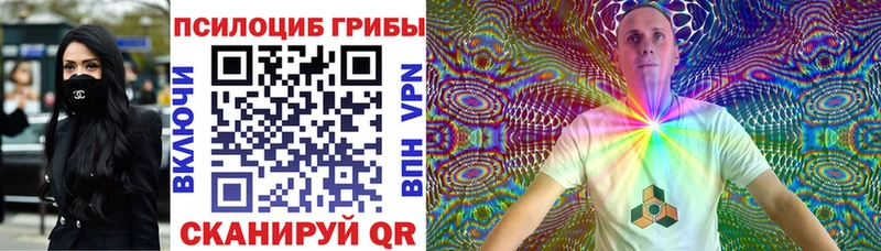 Галлюциногенные грибы Cubensis omg ссылки Острогожск где продают наркотики